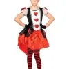 Dress Alice In Wonderland